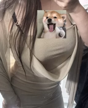 龙华大胸bbw