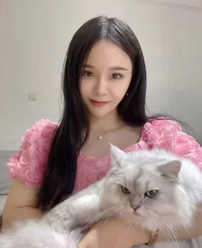 爱撸猫的小姐姐